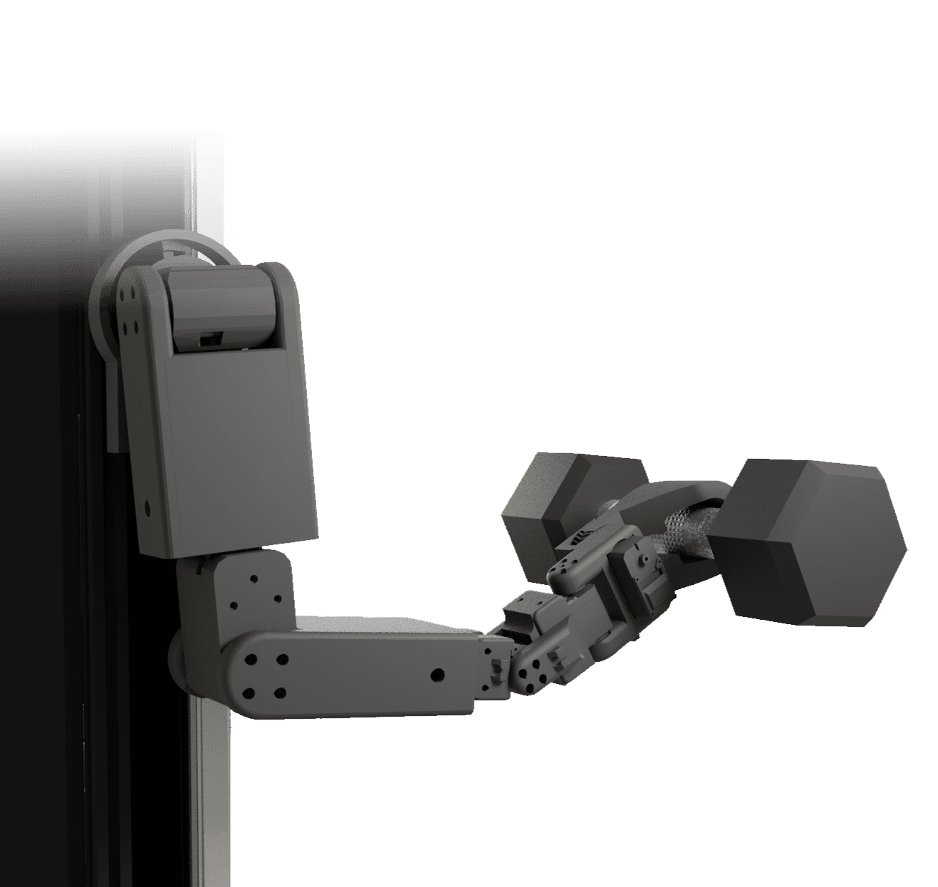 Arms